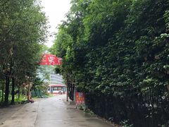 -柴院·柴火鸡