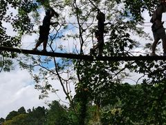 -芦仙山景区-飞越丛林探险乐园