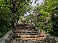 -阳台山自然风景区