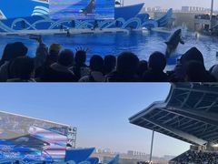 -上海海昌海洋公园