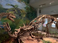 -自贡恐龙博物馆