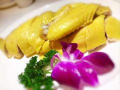 竹林白斩鸡-后宫私房菜(汇客美食娱乐广场店)