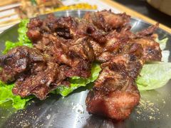 -山野的朋友露营炭火烤肉