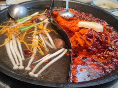 -董眼镜火锅(洪崖洞总店)