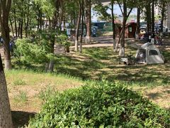 -丁香湖公园