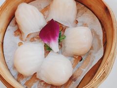 招牌虾饺皇-江南村酒家