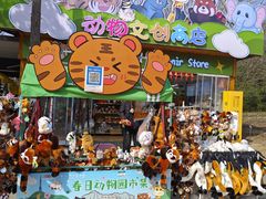 -合肥野生动物园
