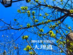 -睦南公园