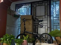 -北京赛佳动物医院