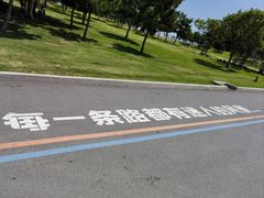 -小麦岛公园