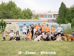 -趣玩宠物乐园寄养训犬训狗游泳池