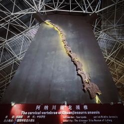 -世界恐龙谷