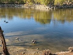 -石家庄市动物园