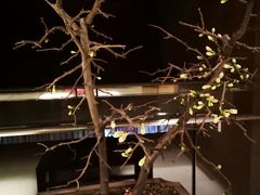 -真爱年华水疗健康运动中心(朱雀大街店)