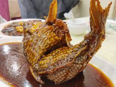 挣蹦鲤鱼-奥华餐厅·老张记(台基厂店)