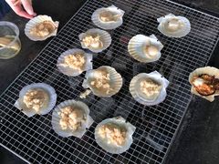 -会江钓鱼钓虾烧烤场
