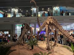 -自贡恐龙博物馆