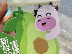 -一只酸奶牛(春熙路店)