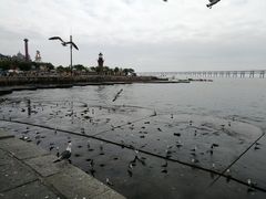 -星海广场
