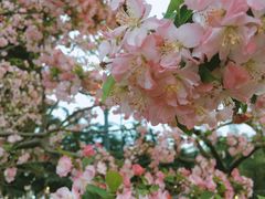 -四川大学(望江校区)