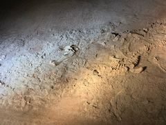 -世界恐龙谷景区