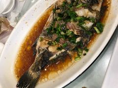 -金海湾海鲜排档(朱家尖店)