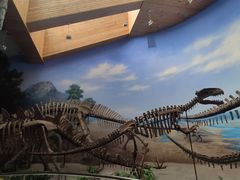 -延庆地质公园博物馆