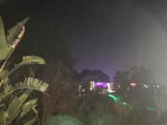 -飞凤山奥体公园