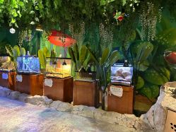 -酷嗒动物文化乐园(cutezoo西溪乐天城店)