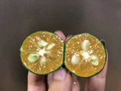-原柳滩高台阶涮羊肉