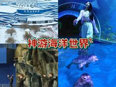 -威海华夏城景区