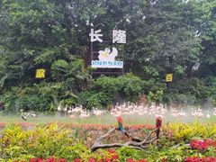 -广州长隆飞鸟乐园