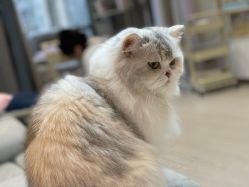 -Beauty Nails 美甲美睫皮肤管理