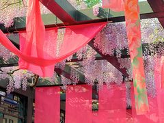 -北京市劳动人民文化宫(太庙)