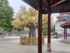 -广东圆玄道观