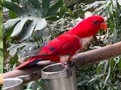 -南宫五洲植物乐园