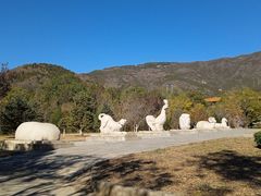 -北京十三陵国家森林公园蟒山景区