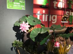 -听说碳烧蛙(高新万达店)