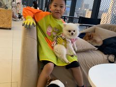 -怪兽屋·羊驼·猫咖·狗咖(俊华广场店)