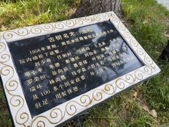 -起士林西餐厅(东经路店)