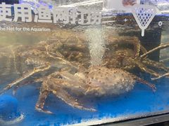 -盒马X会员店(上海森兰商都店)