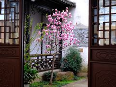 -山塘街