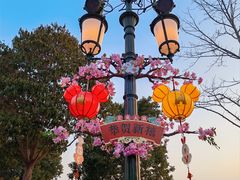 -上海迪士尼度假区