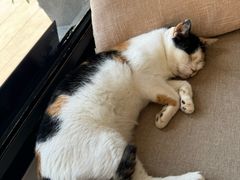 -转山咖啡(松柏社区店)