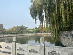 -天平湖公园