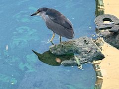 -苏州河梦清园环保主题公园