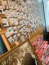 -菲林婚纱摄影工作室