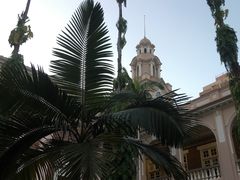 -香港大学