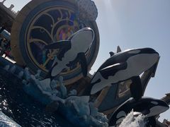 -上海海昌海洋公园