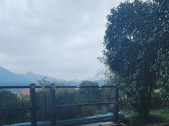 -杭州桐庐康莱德酒店西餐厅-舍